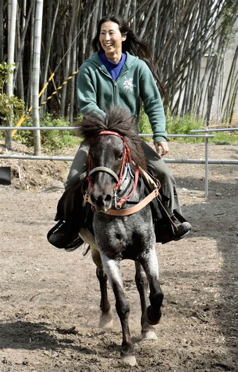 farmer strives  preserve indigenous japanese horses