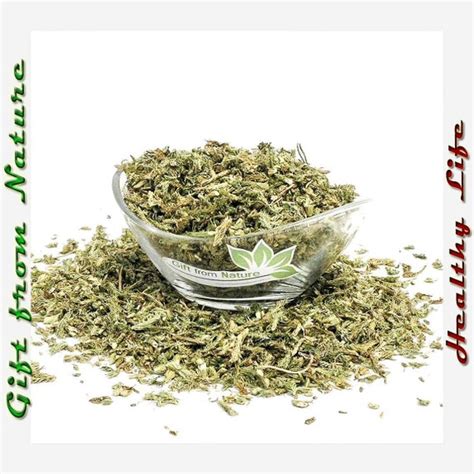 Running Clubmoss Herb 2oz 57g Organic Dried Bulk Tea Etsy