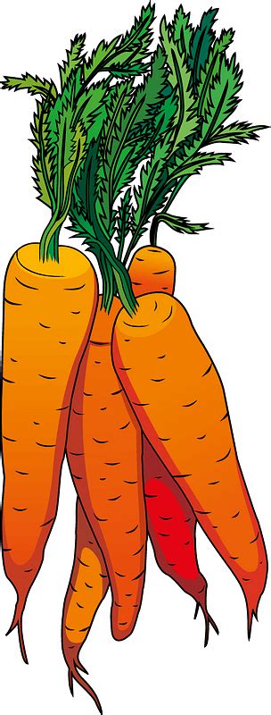 Carrot Clipart Free Download Transparent Png Creazilla