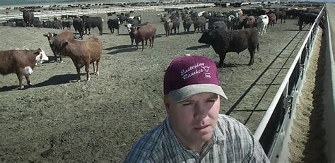 Rancher Gets Year Sentence For M Ghost Cattle Fraud Agdaily