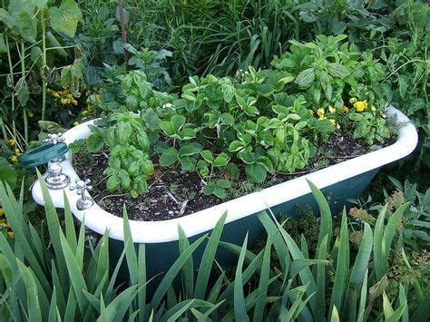 One thing i've always loved is whimsy in the garden and i am. 29+ Trendy bath tub plants | Garden bathtub, Raised herb ...