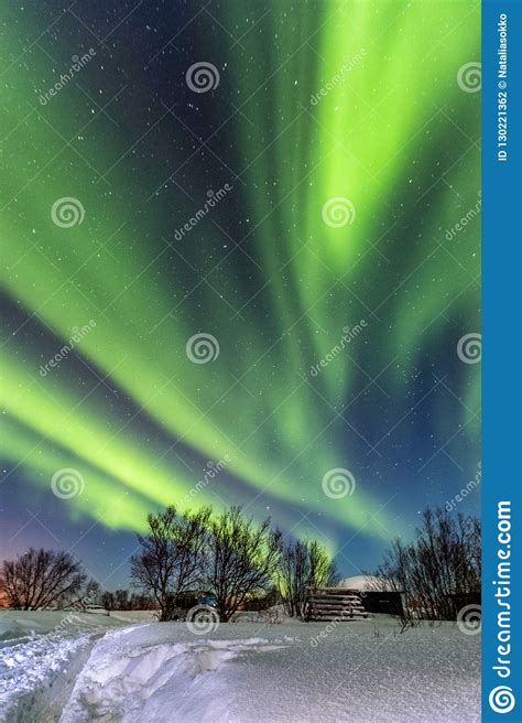 Beautiful Green Northern Lights In The Blue Sky Stock Photo Image Of