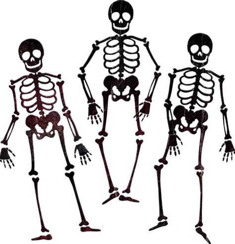 Skeletons Png Skeleton Dessin 1158338 Vippng