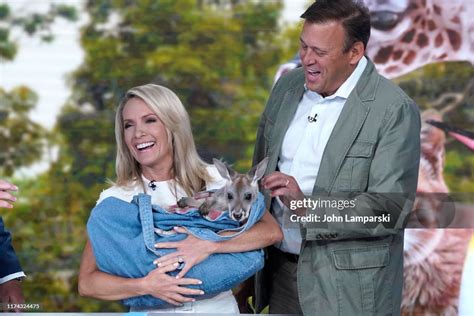 Fox Cohost Of The Five Dana Perino And Tom Stalf From The Zoo News