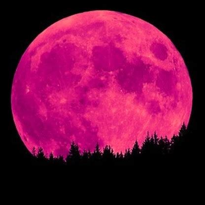 Pink moon is more than just food for thought, it's a whole banquet of ideas and concepts that makes open your mind to a whole world of possibilities. Wesak Festival 2013, celebrating Full Pink Moon April 25
