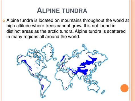 Tundra Land Biome Description And Characteristics