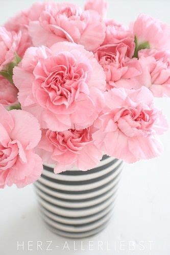 Peonies In White And Grey Striped Vase Flower Arrangements Pink
