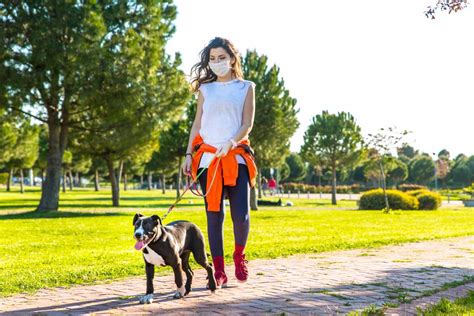 Pasear A Tu Perro Elnorte