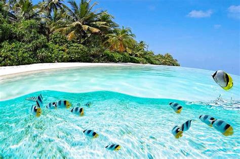 10 Of The Clearest Waters On Earth