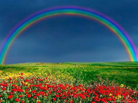 Nature Wallpapers Rainbow On Sky Wallpapers Desktop Background