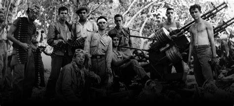 Why The Bay Of Pigs Invasion Went So Wrong History