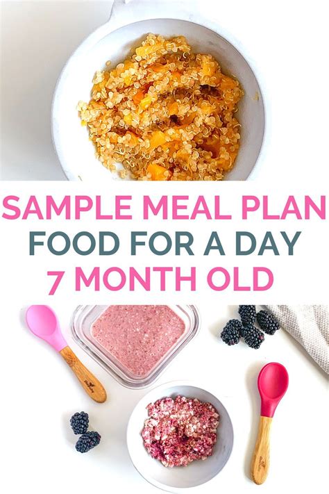 After starting with rice cereal at 6 months, he's ready to move on to fruit and vegetable purees. 7 Month Old Meal Plan - Nutritionist Approved | Creative ...