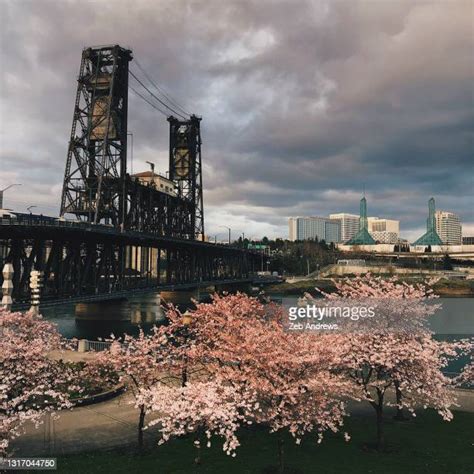 Portland Cherry Trees Photos Et Images De Collection Getty Images