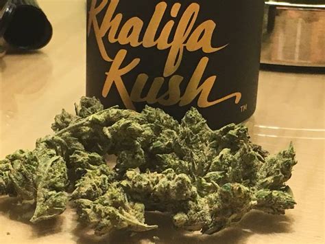 Khalifa Kush From Reef Dispensary Gentleman Toker Dc Cannabis