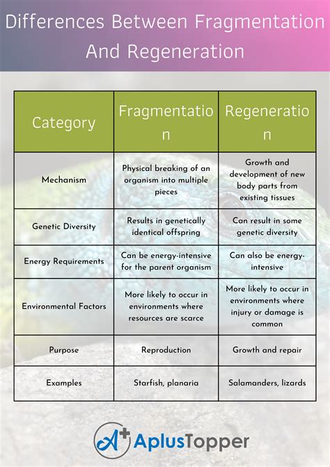 Difference Between Fragmentation And Regeneration Understanding The