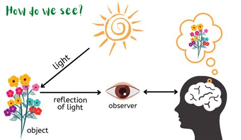 Explained Reflection Of Light Specular Reflection Diffused