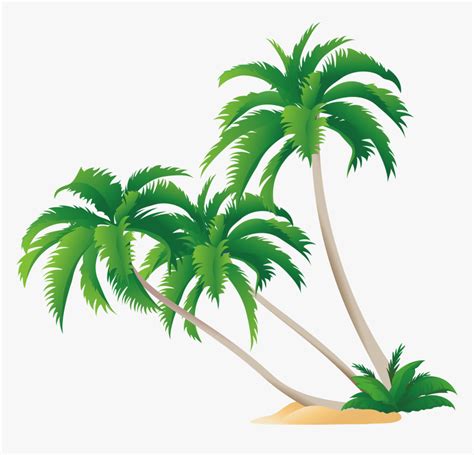 High Resolution Coconut Tree Vector Png Amashusho ~ Images