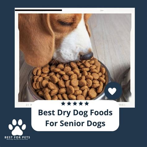 The 11 Best Dry Dog Foods For Senior Dogs Of 2023