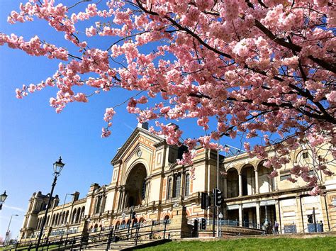 8 Places To See Cherry Blossom In London This Spring Gouni