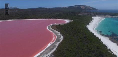 El Misterioso Lago Rosa De Australia A Vista De Dron