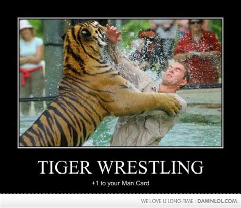 Tiger Wrestling Funny Wrestling Wrestling Quotes Man Up Your Man