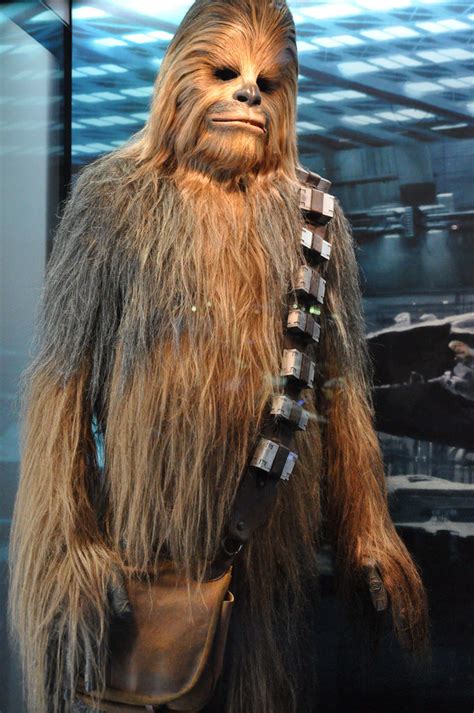 Chewbacca Von Star Wars Creative Commons Bilder