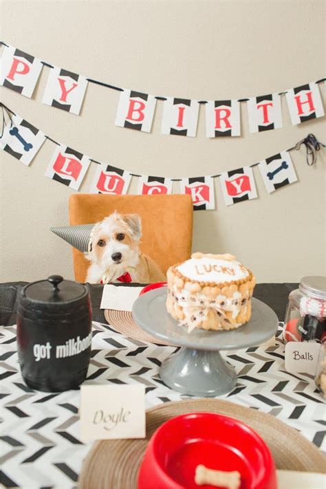Dog Decorations For Birthday Party Birthdaybuzz
