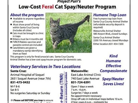 Project Purr Extends Free Feral Cat Spayneuter Through October