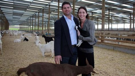 New Player In Dairy Goat Industry Makes Its Mark