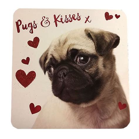 Pugs And Kisses Valentiness Day Card Pugs Pugs And Kisses Cute Pugs