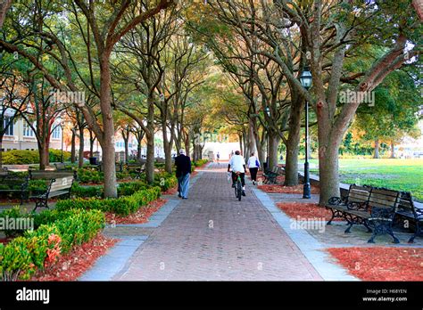 The Tree Covered Walkway In The Charleston Waterfront Park Sc Stock