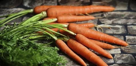 Anticancerígena Antioxidante Y Más Todas Las Ventajas Para La Salud