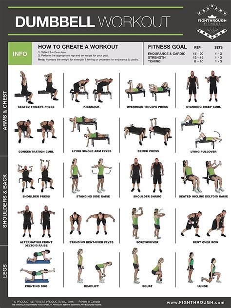 Dumbbell exercises for seniors by michelle dawn. Dumbbell Workout Poster | Great Life Fitness Store