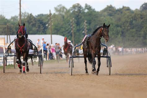 Horses And Riders Running At Horse Races Stock Photo Image Of Fast