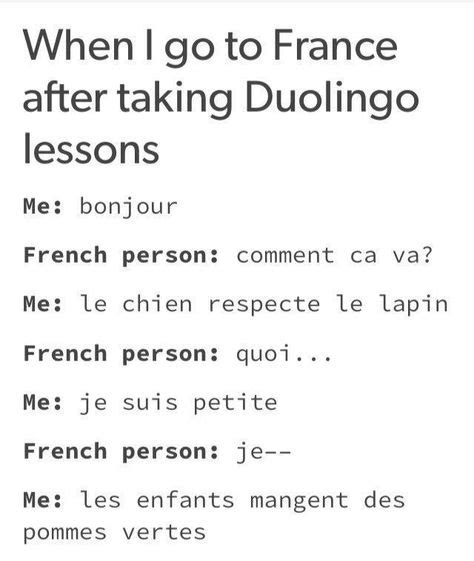 17 French Memes Ideas In 2021 Funny French French Puns Learning