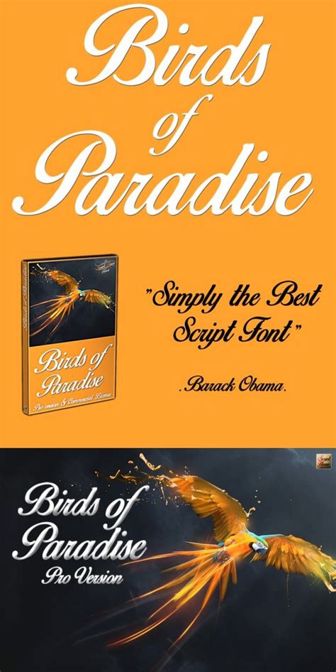 ✔️ customize your own preview on ffonts.net to make sure it`s the right one for your designs. Birds of Paradise © | Birds of paradise, Romantic fonts ...