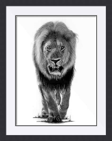 The Lion Dessin Par Paul Stowe Artmajeur