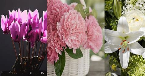 Common types of funeral flowers. 11 Types of Funeral Flowers | Balcony Garden Web