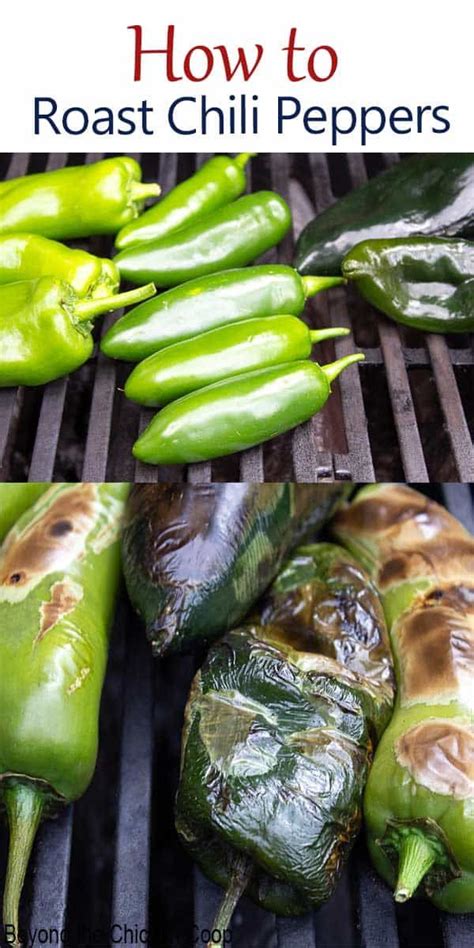 Roasting And Freezing Chili Peppers Recipe Stuffed Peppers Summer