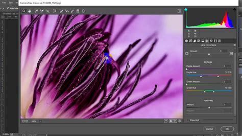 Now, photoshop has added the camera raw filter in photoshop cc. Photoshop Filters | Camera raw filter | Blur - YouTube