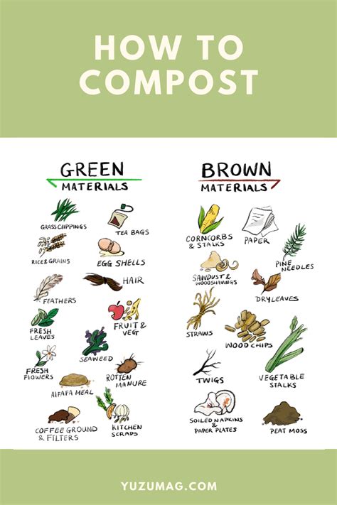 Learn Exactly What You Can And Cant Put Into Your Compost Pile Browns