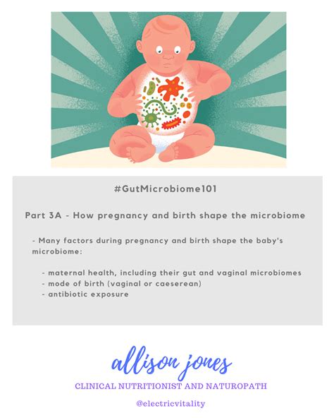 Gut Microbiome 101 Part 3 How Pregnancy Birth And Infant Feeding