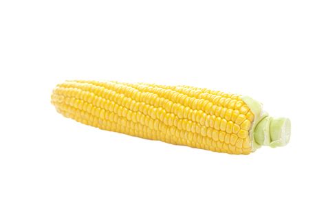 Ripe Yellow Corn Isolated On White Heap Sweetcorn White Fresh Png