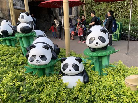 Hong Kongs Ocean Park Pandas Sharks And Ecophilosophy