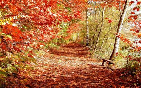 Free Download Youwall Beautiful Autumn Garden Wallpaper