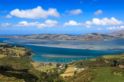 The 10 Best Restaurants In Dunedin New Zealand