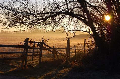 Wallpaper Sunlight Landscape Sunset Water Grass Sky Winter