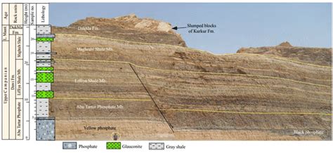 10 Graphic Log Showing Stratigraphic Elaborations Of The Duwi
