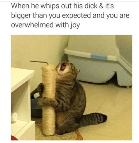 Sex Memes 29 Pics