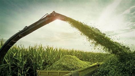 Silage Preparation A Complete Guide For Beginners